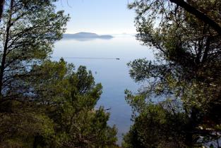 Vue du Pech du Mour ( Sentier du parc naturel régional )