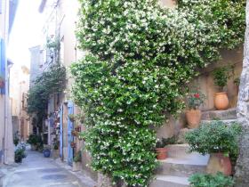 Ruelle des Carriérettes