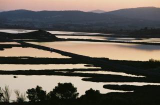 Route de Peyriac de Mer à Bages